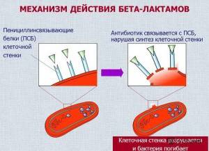 Механизм действия