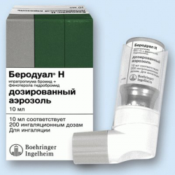 Спрей беродуал