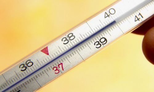 Метаплазия мочевого пузыря сопровождается повышением температуры тела