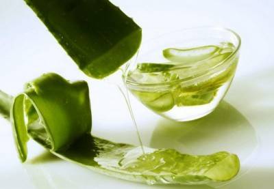 Sok aloe vera