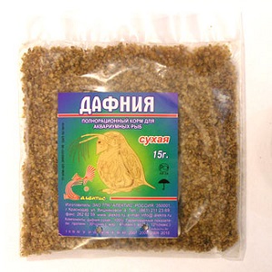 Дафния - очень сильный аллерген Дафния - очень сильный аллерген
