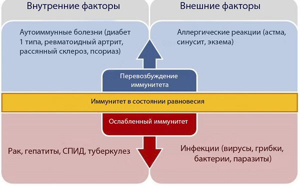 Иммунитет и аллергия 