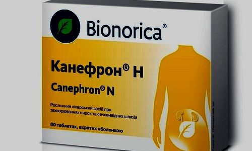Уросептики на растительной основе: Канефрон