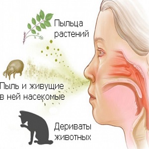 Провокаторы 