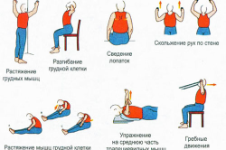Упражнения для лечения спины Упражнения для лечения спины