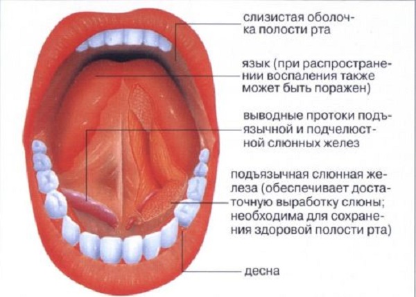 Аллергия во рту 